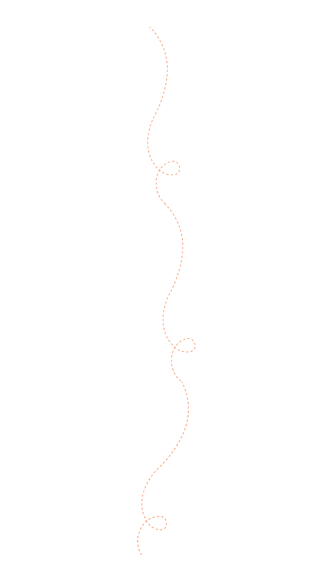 Decorative Line