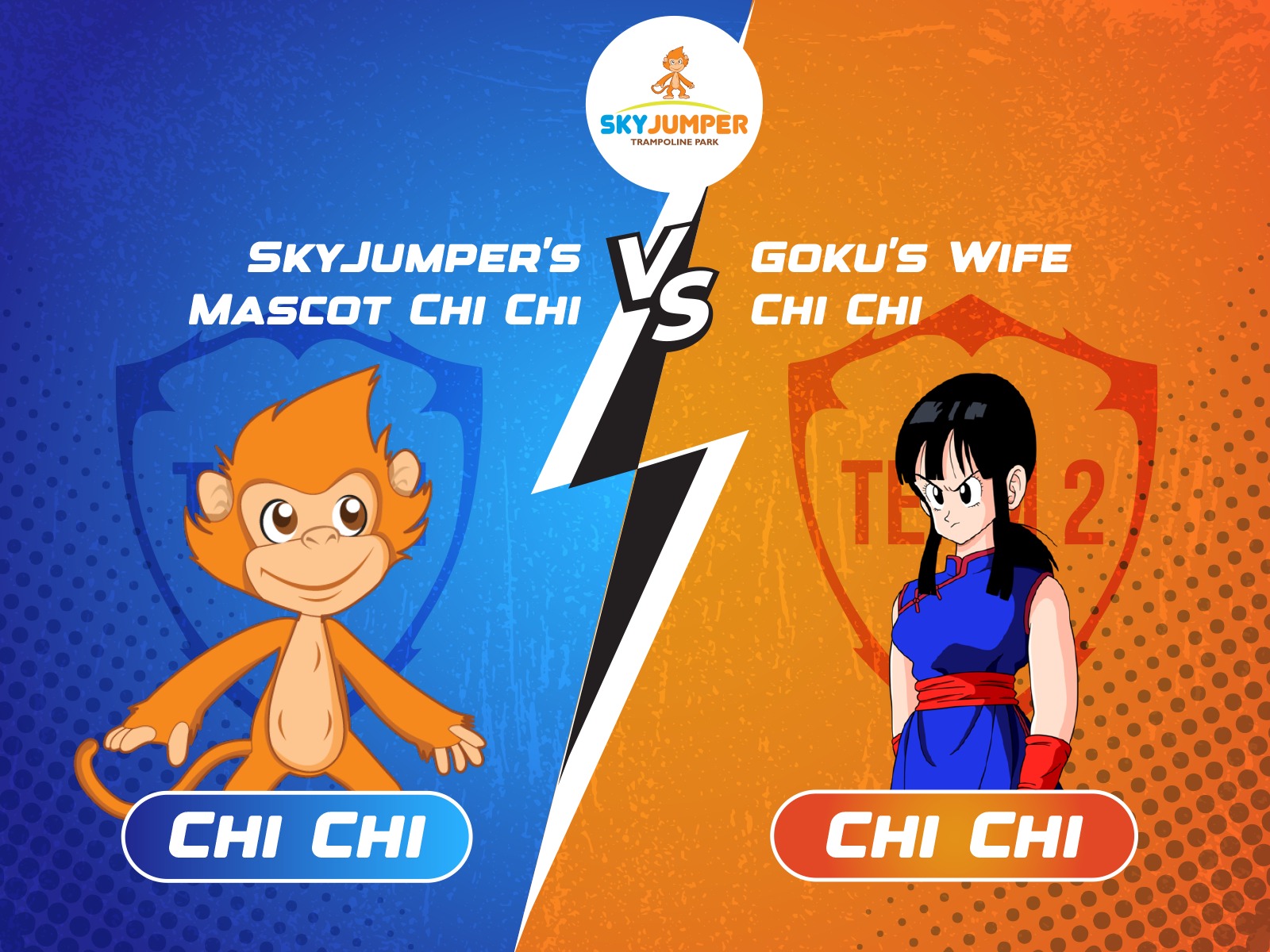 Battle of the Chi Chis: SkyJumper’s Chi Chi vs. Goku’s Wife Chi Chi